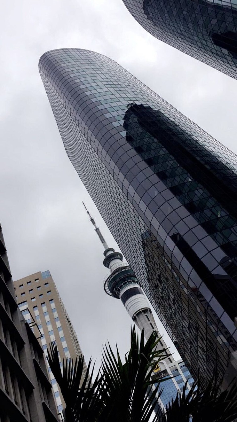 Neuseeland - Auckland - 