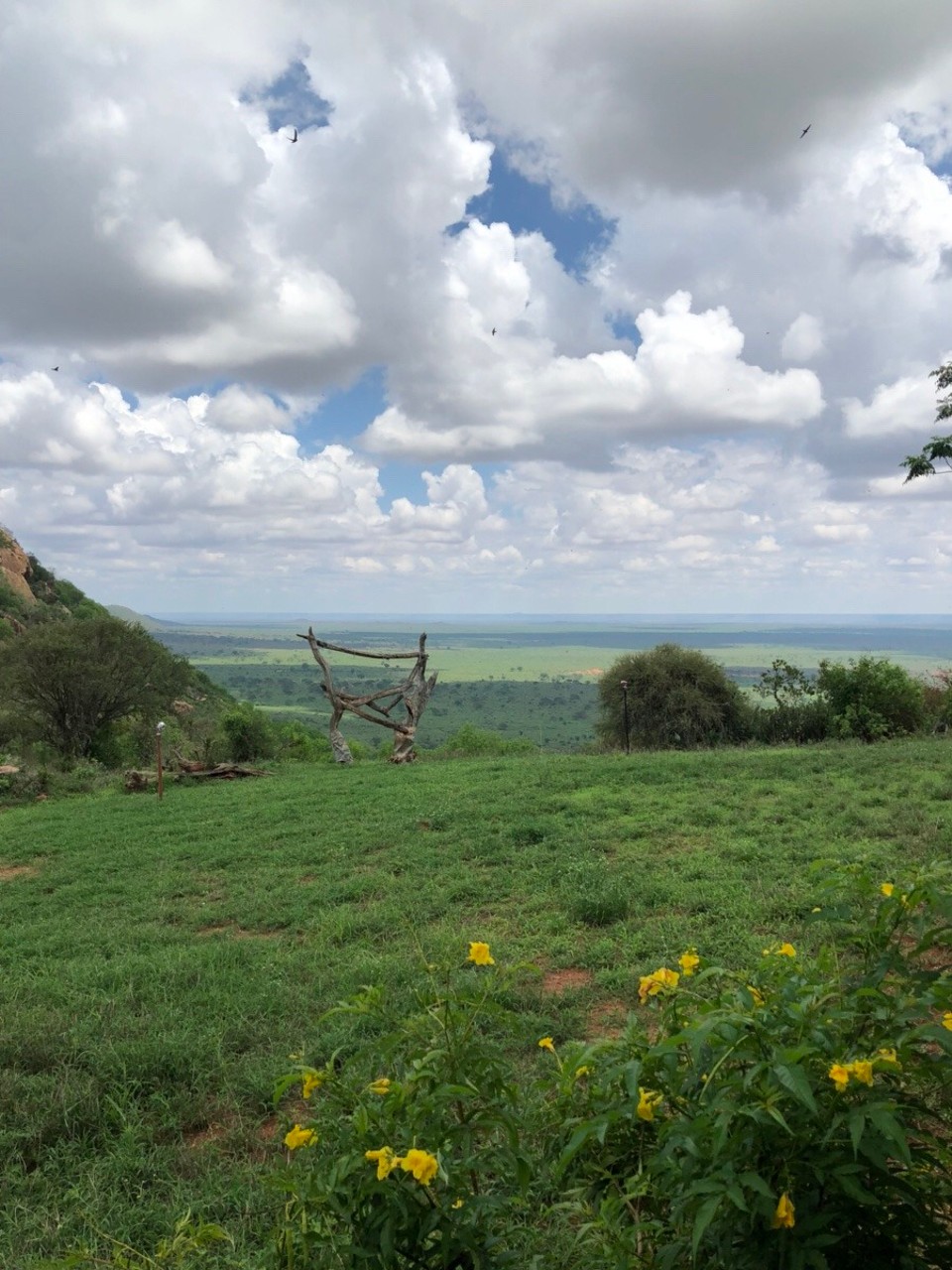 Kenia - Taita - 