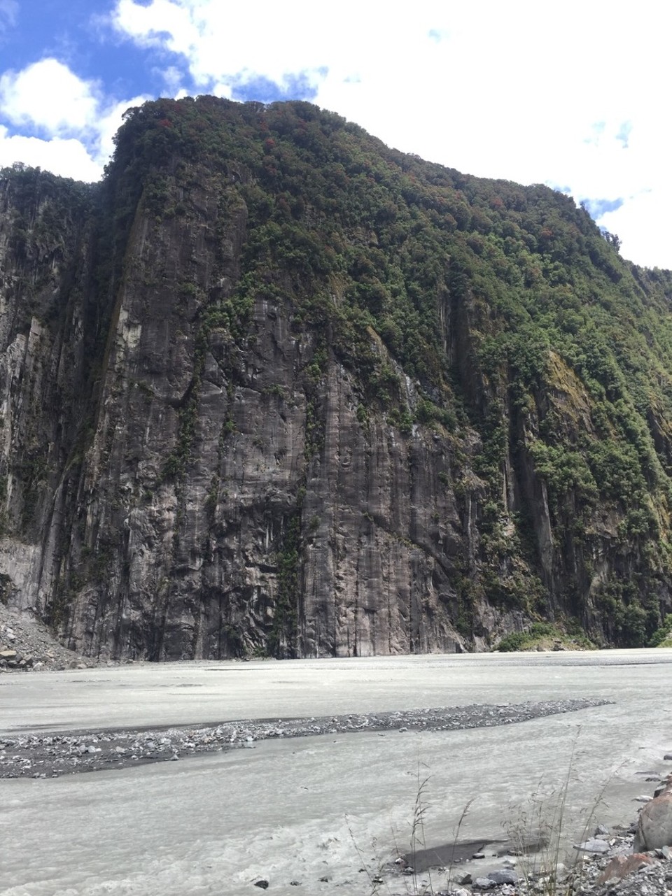 Neuseeland - Fox Glacier - 