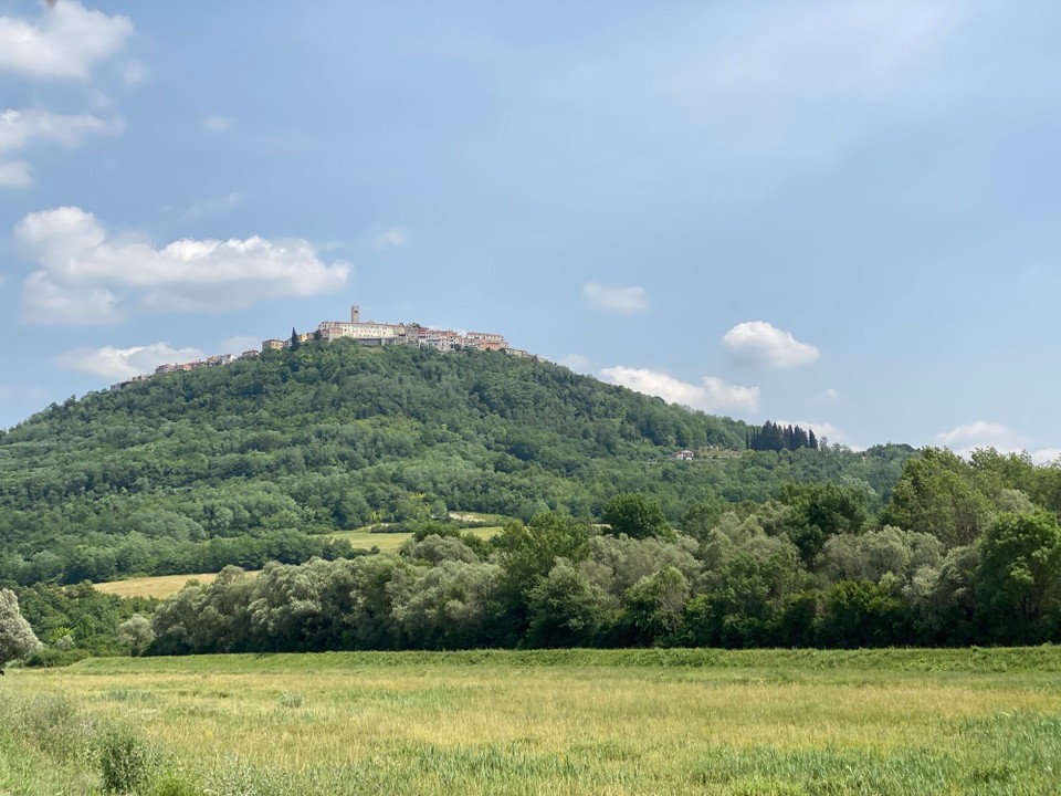 Kroatien - Motovun - 