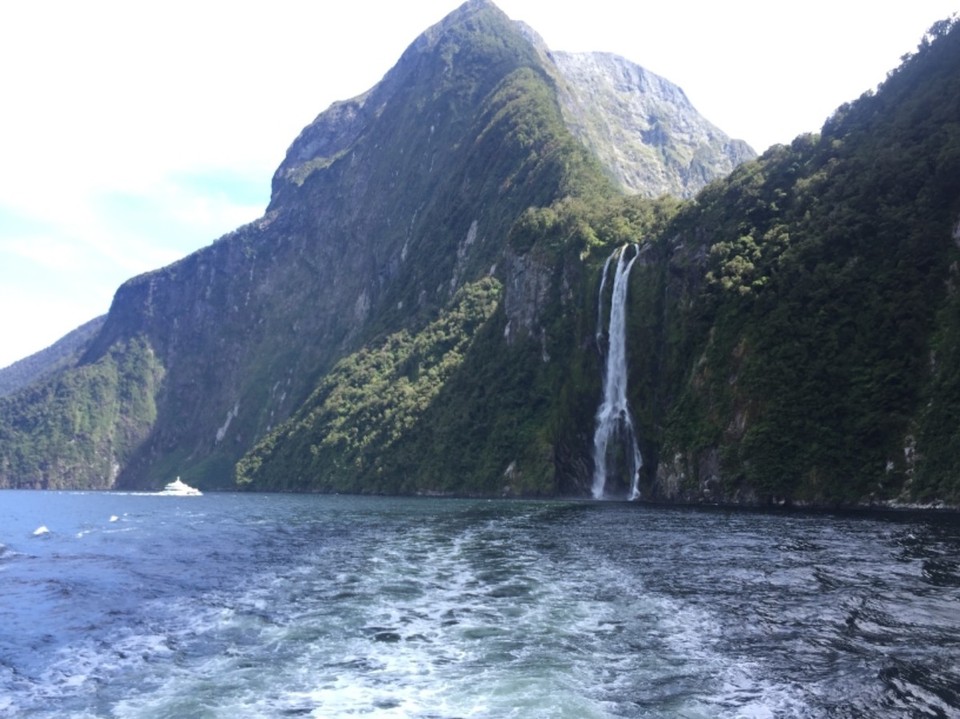 Neuseeland - Milford Sound - 