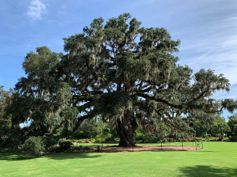 United States - Wilmington - 