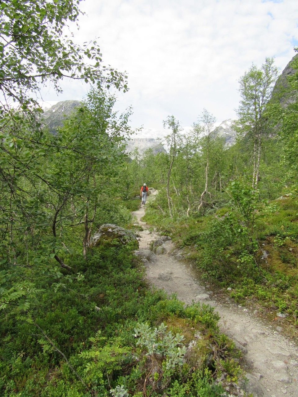 Norwegen - Gjerde - 