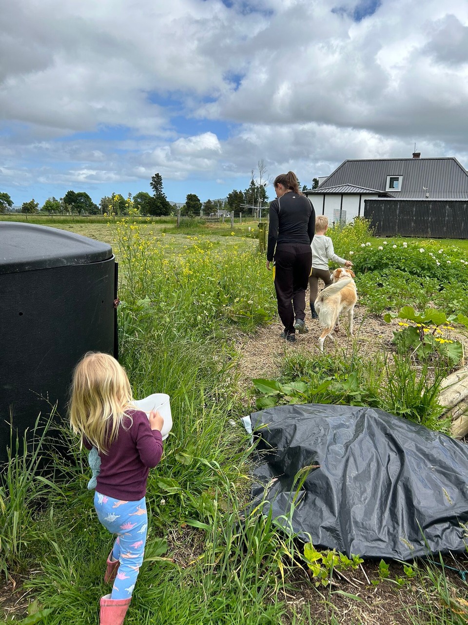 Neuseeland - Harihari - 