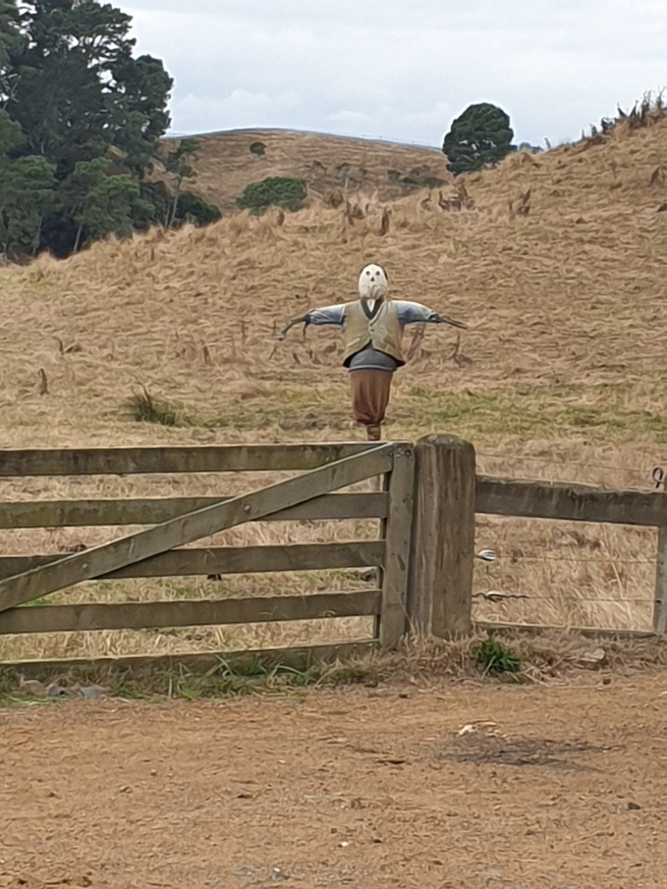 Neuseeland - Matamata - 