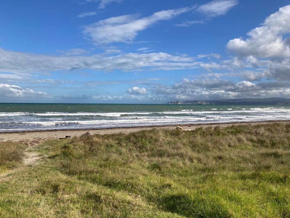 Neuseeland - Gisborne - Und nach der Job Einführung noch ein bisschen am Strand sitzen und dem Meer lauschen 😃
