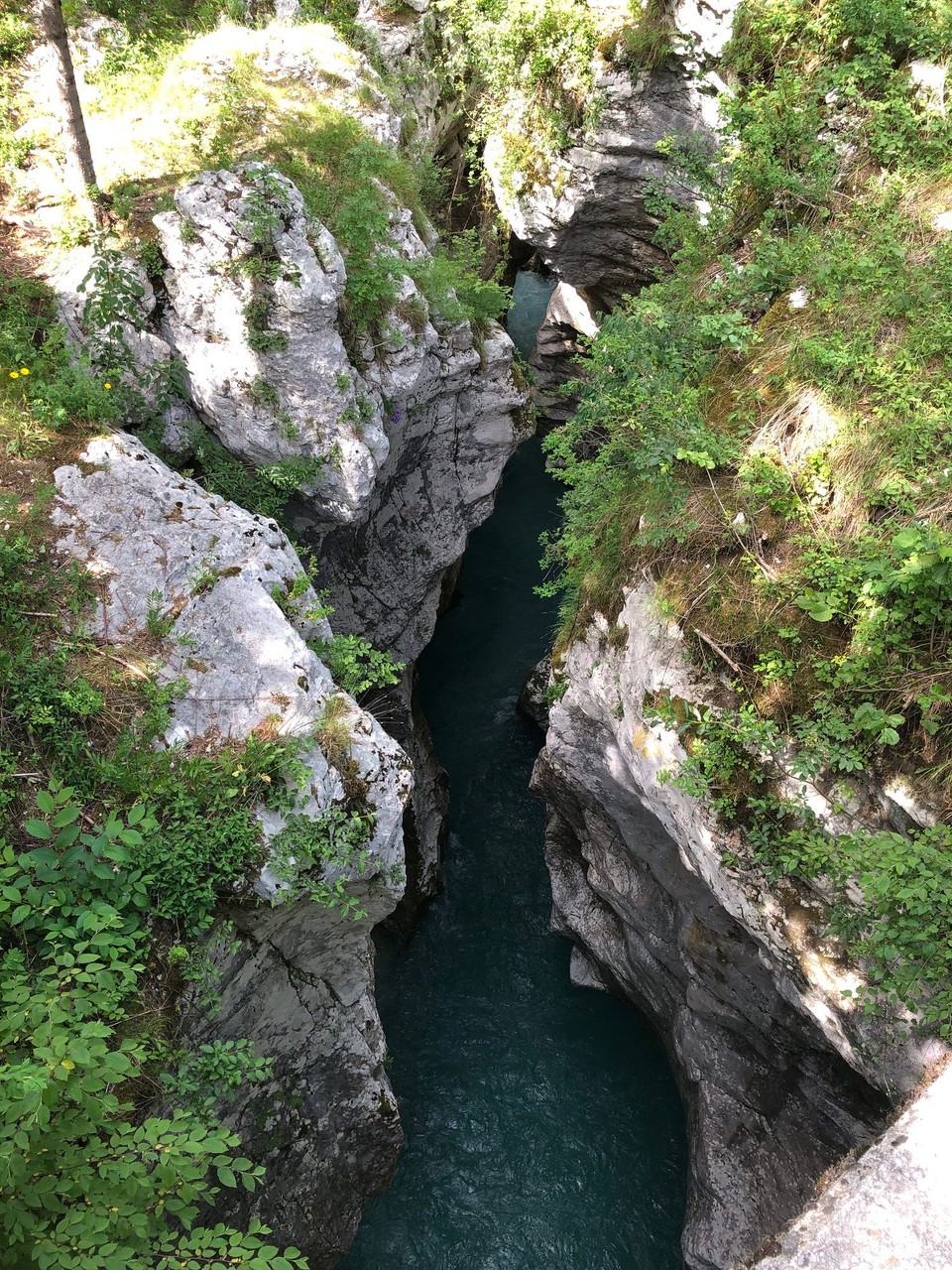 Slowenien - Bovec - Celibacy Korita Soca Schlucht