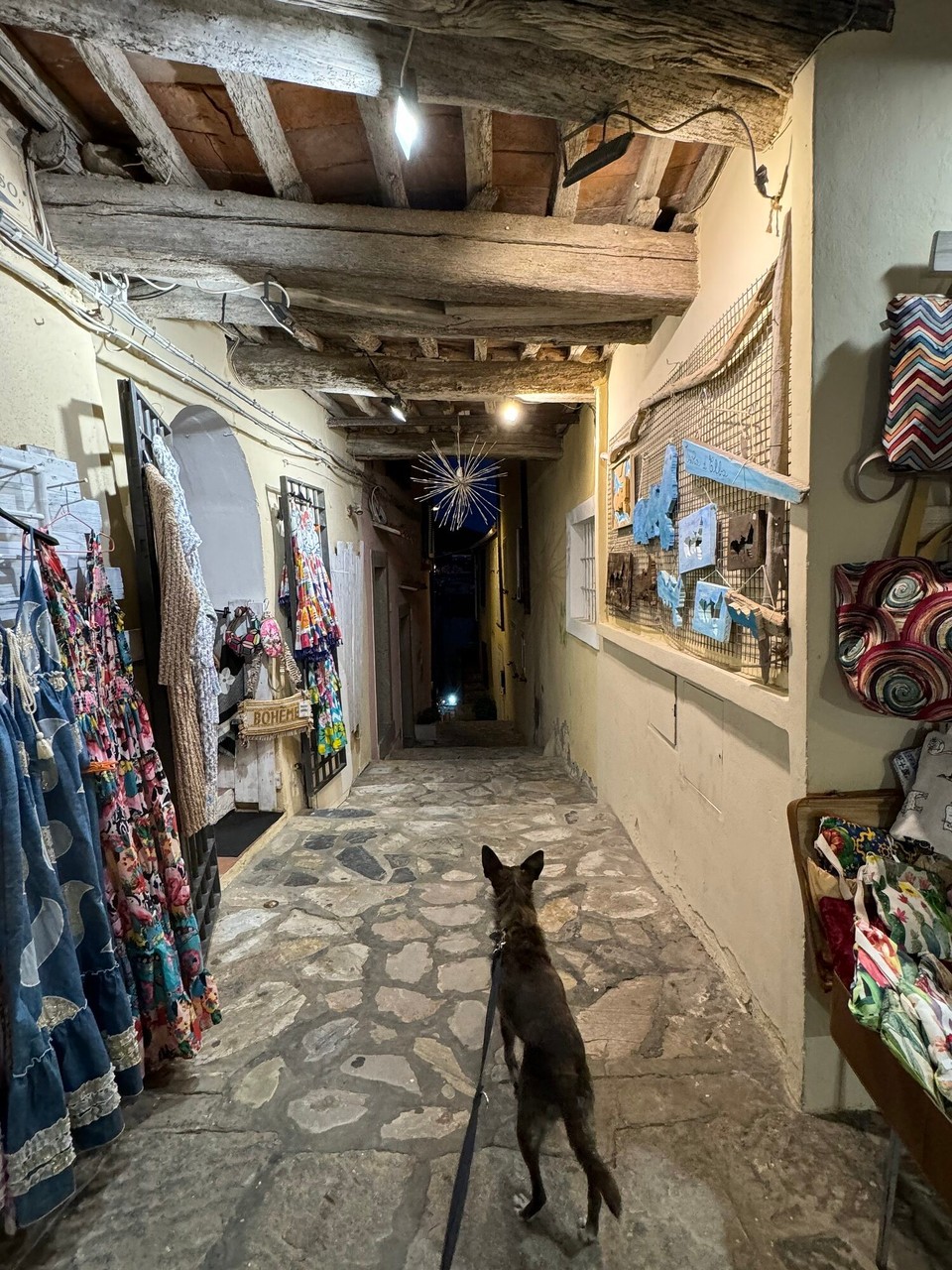 Italien - Capoliveri - Dobby erkundet die Gässchen