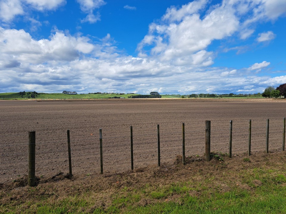 Neuseeland - Rangiriri - Wieder änderung der Landschaft 