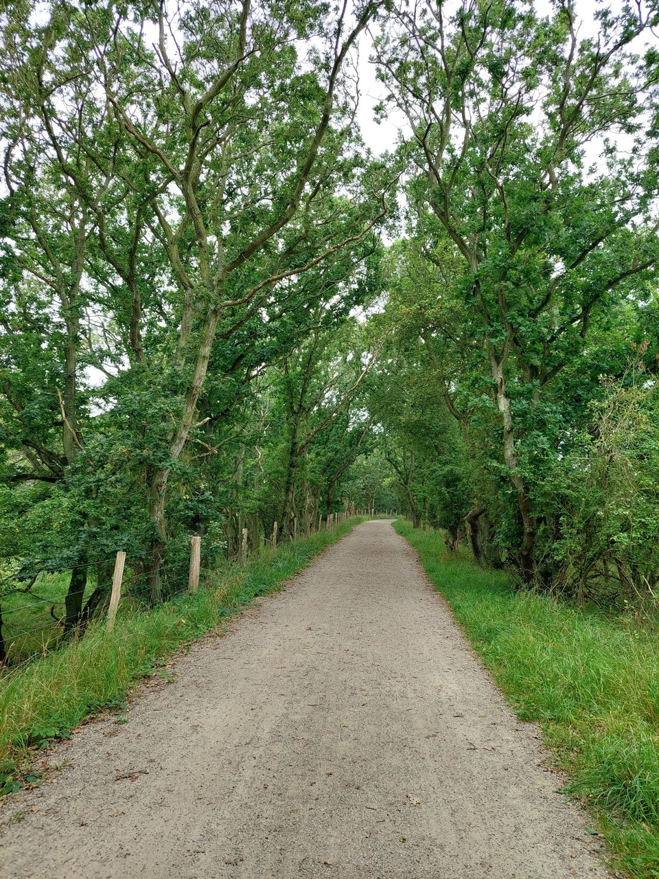Deutschland - Gelting - 