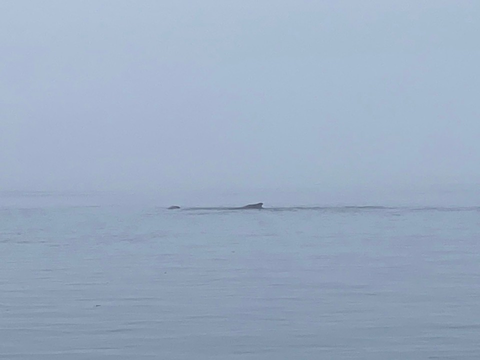 Kanada - Mount Waddington D - 