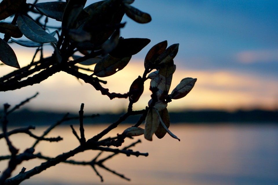 Neuseeland - Paihia - 
