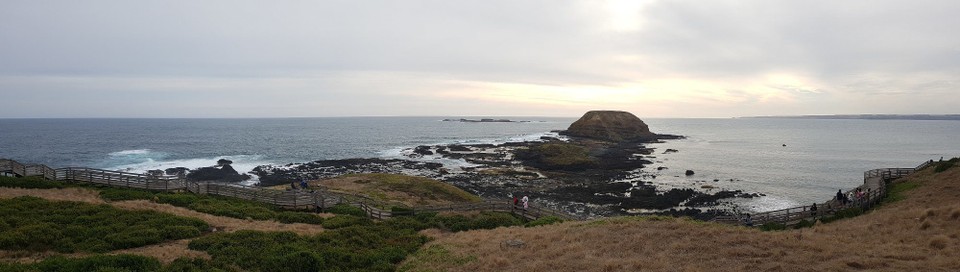 Australien - Phillip Island - 