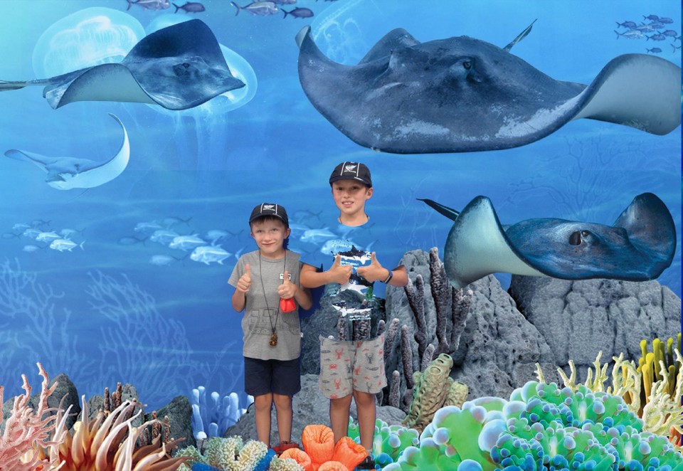 Neuseeland - Auckland - 