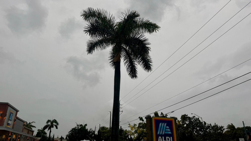 Vereinigte Staaten - Homosassa - 