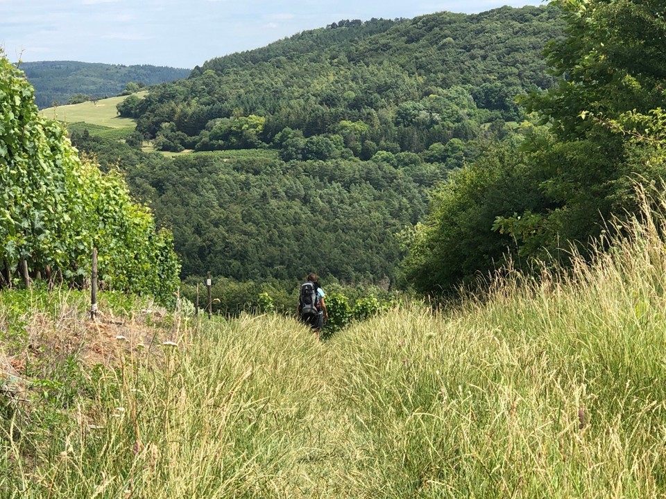 Deutschland - Trier - Ab ins Albachtal