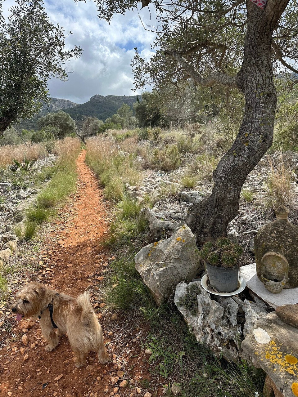 Spanien - Gata de Gorgos - 