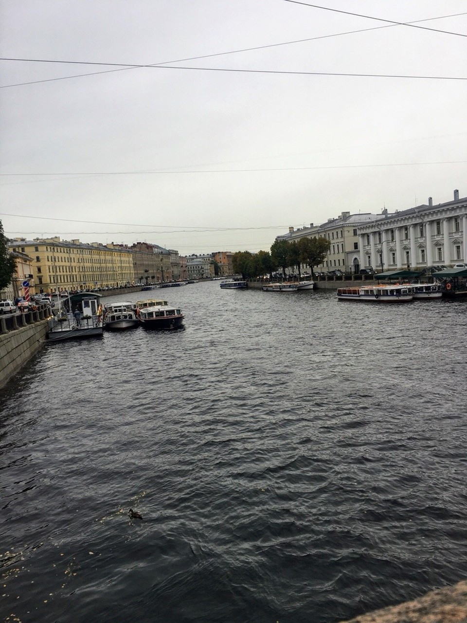Russia - Saint Petersburg - 