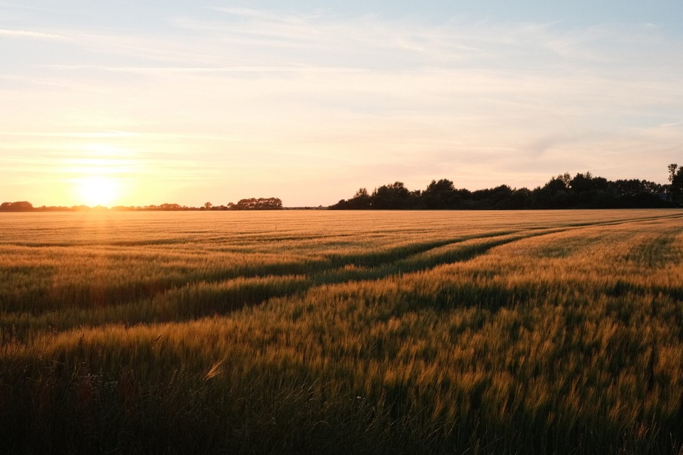 Deutschland - Fehmarn - 