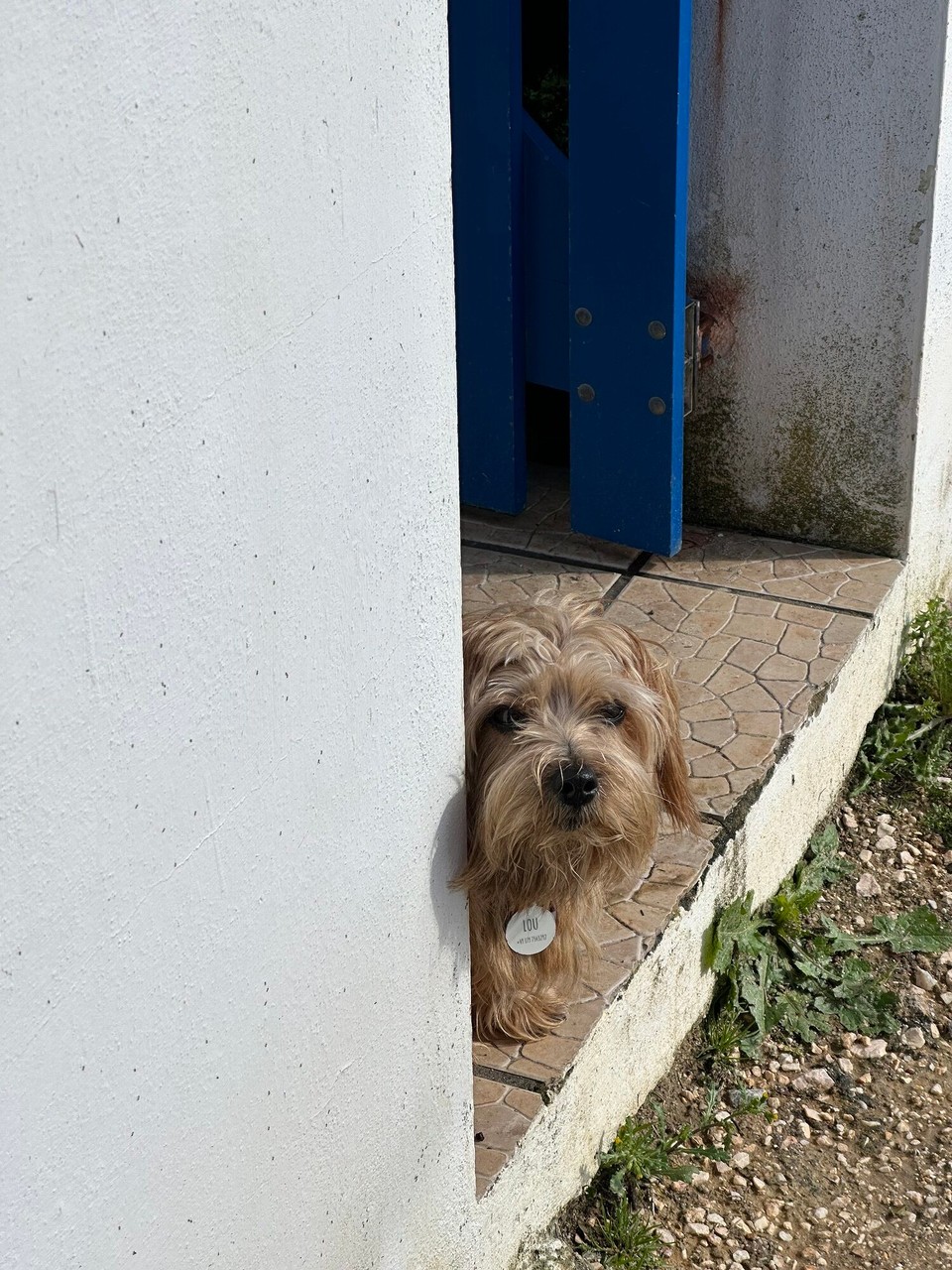 Portugal - Aljezur - 