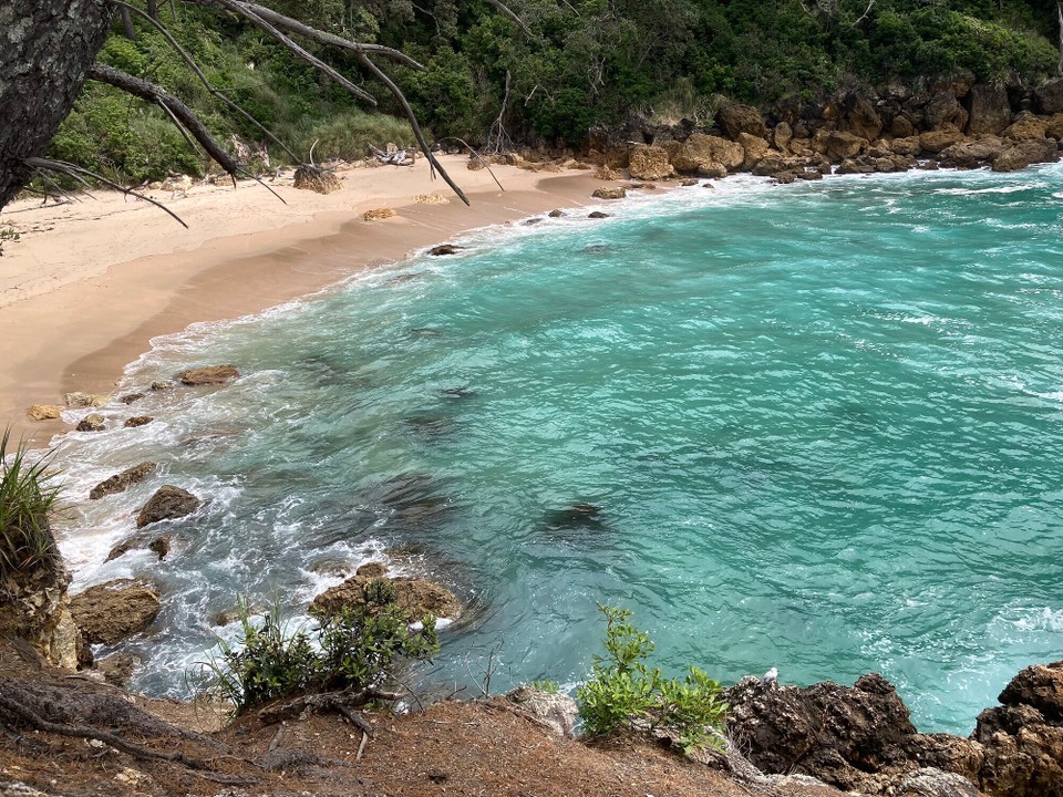 Neuseeland - Whangamata - 