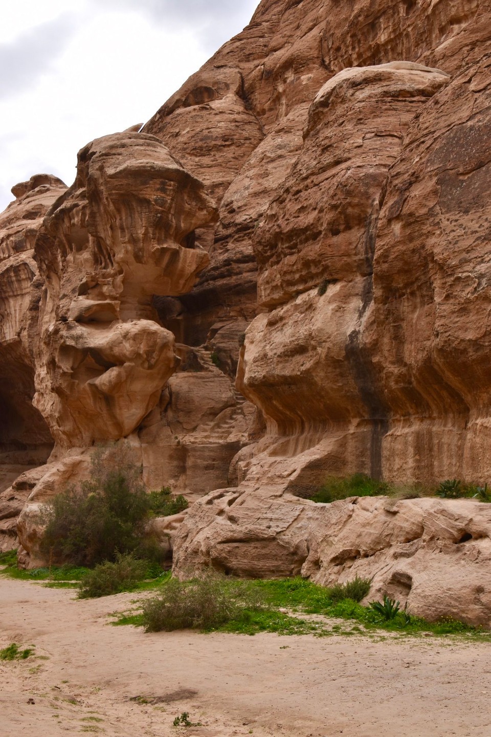 Jordanien - Wadi Musa - 