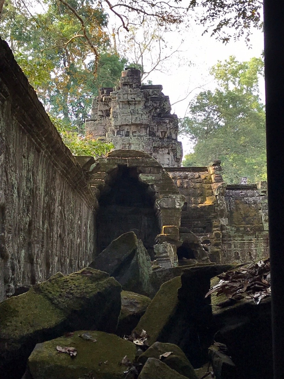 Cambodia -  - Ta Prohm (aka Tomb Raider Monument)