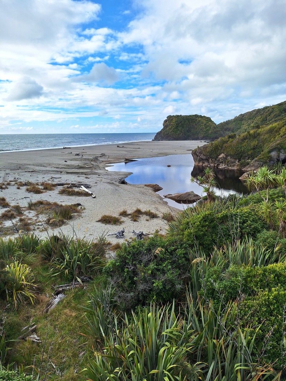 Neuseeland - Jackson Bay - 