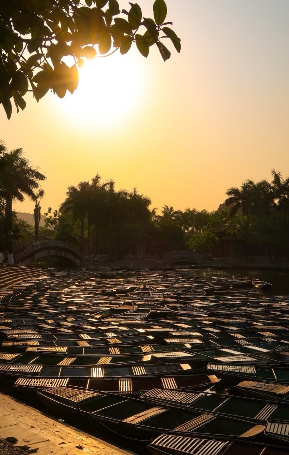 Vietnam - Ninh Bình - 
