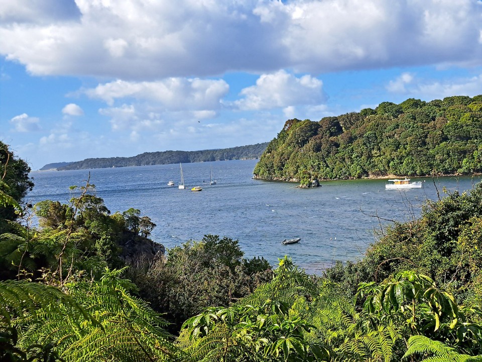 Neuseeland - Stewart Island - 