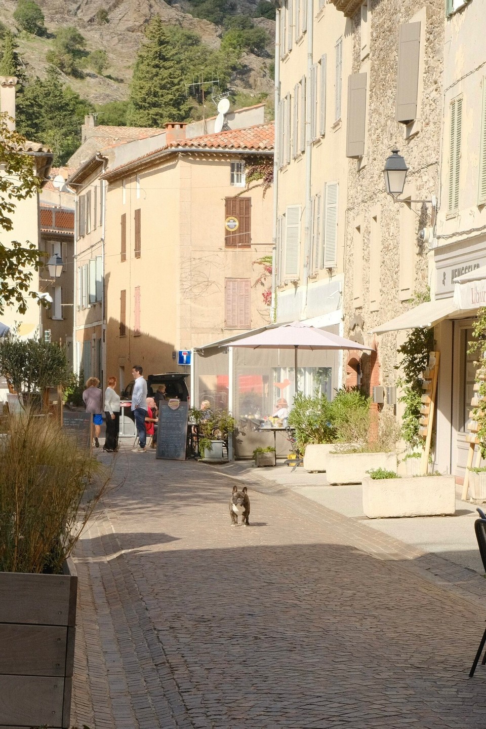 Frankreich - La Garde-Freinet - 