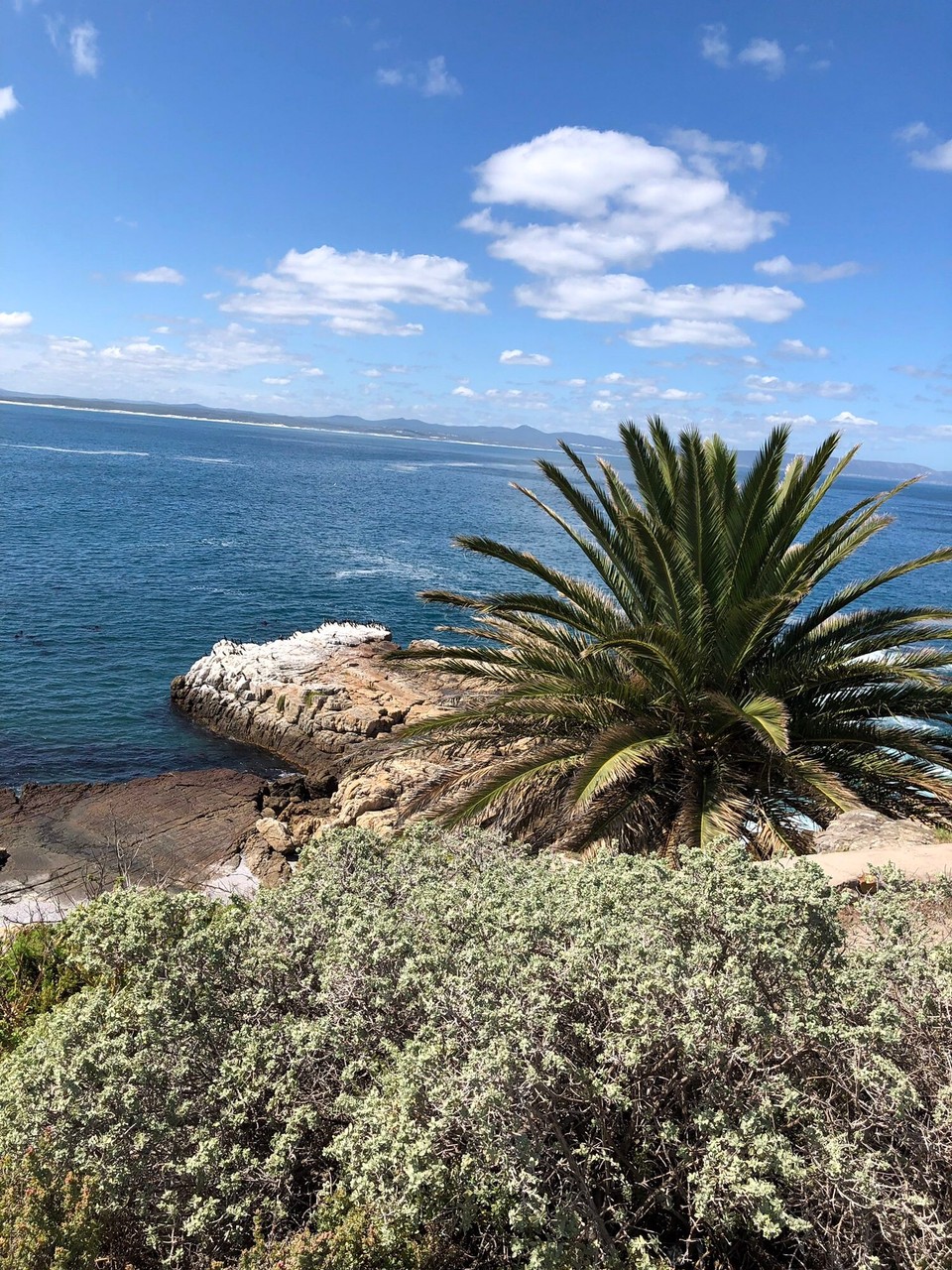 Südafrika - Hermanus - Wetter war Super