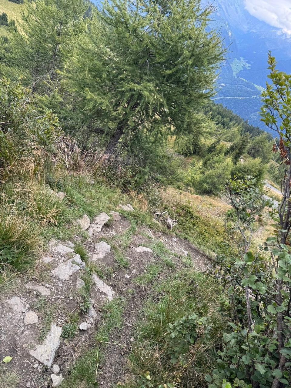 Österreich - Trins - 