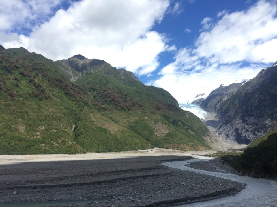 Neuseeland - Franz Josef Glacier - 