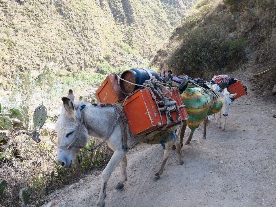 Peru - Áncash - Nos porteurs