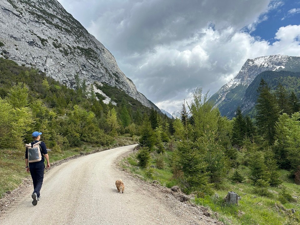 Österreich - Scharnitz - 