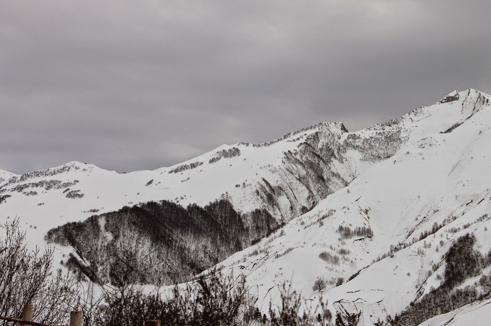 Georgia - Mkinvartsveri - 