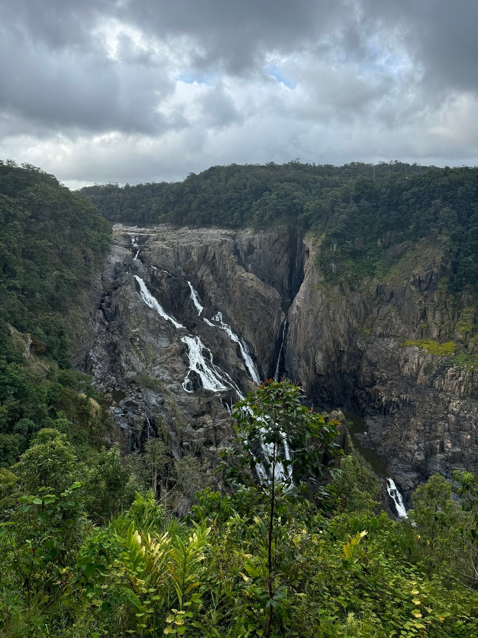 Australien - Kuranda - No a letschta Blick zrugg zu da mächtiga Barron Falls.