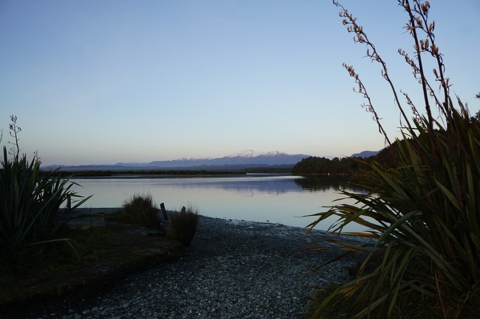 Neuseeland - Franz Josef Glacier - 