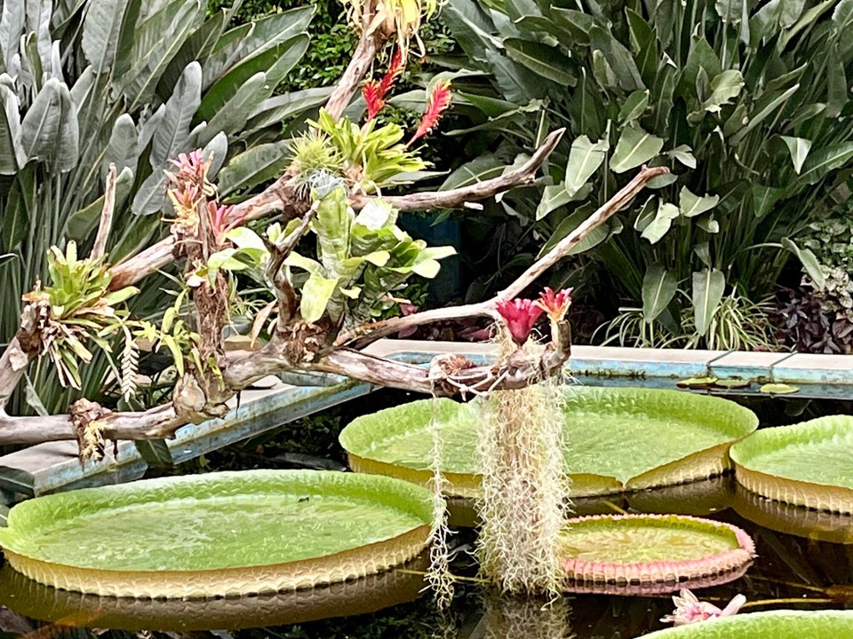 Italien - Verbania - 