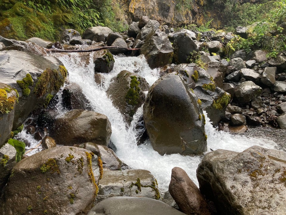 Neuseeland - Eltham - 