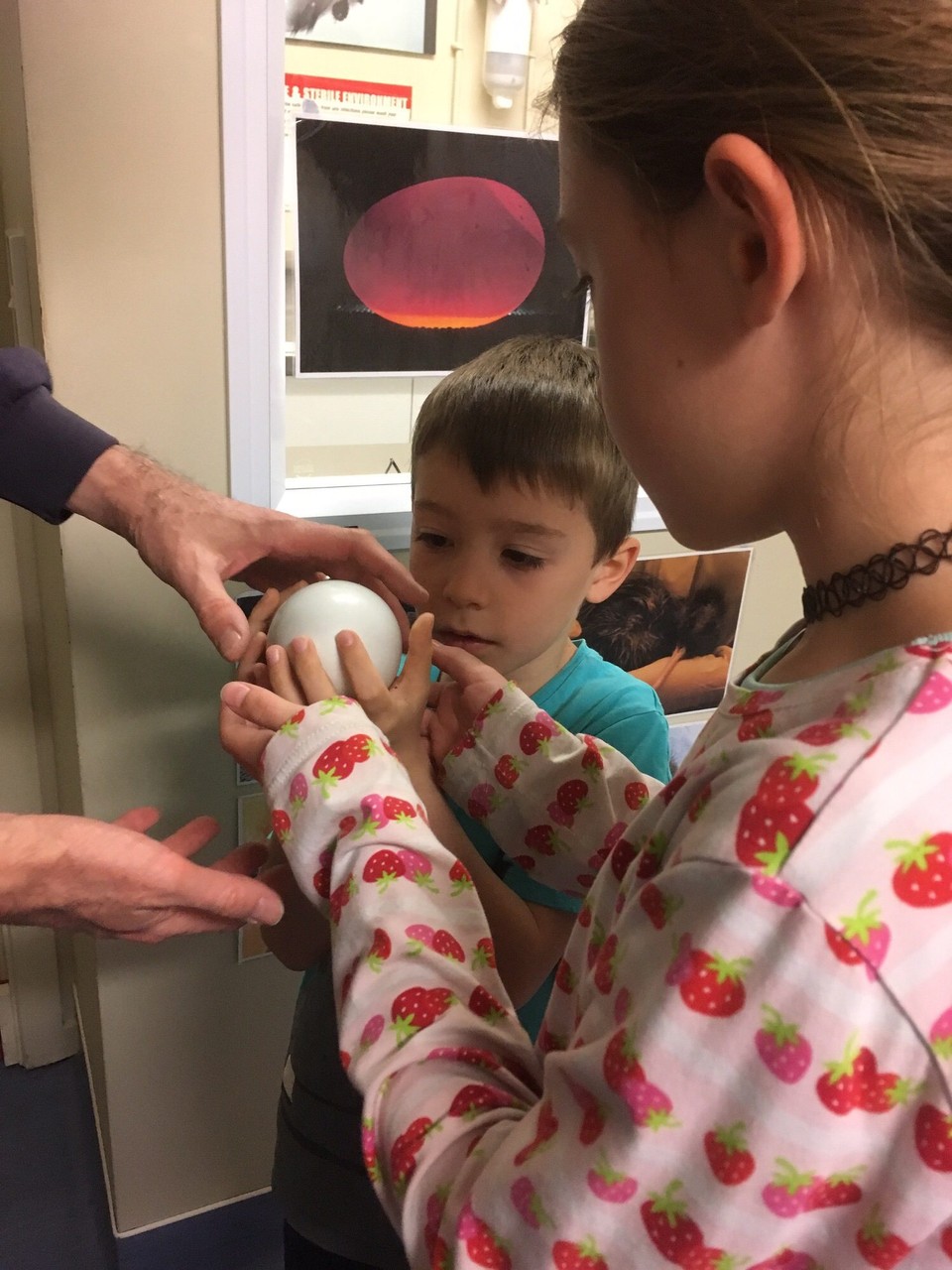 Neuseeland - Franz Josef Glacier - Wir staunen, wie groß Kiwi-Eier sind.