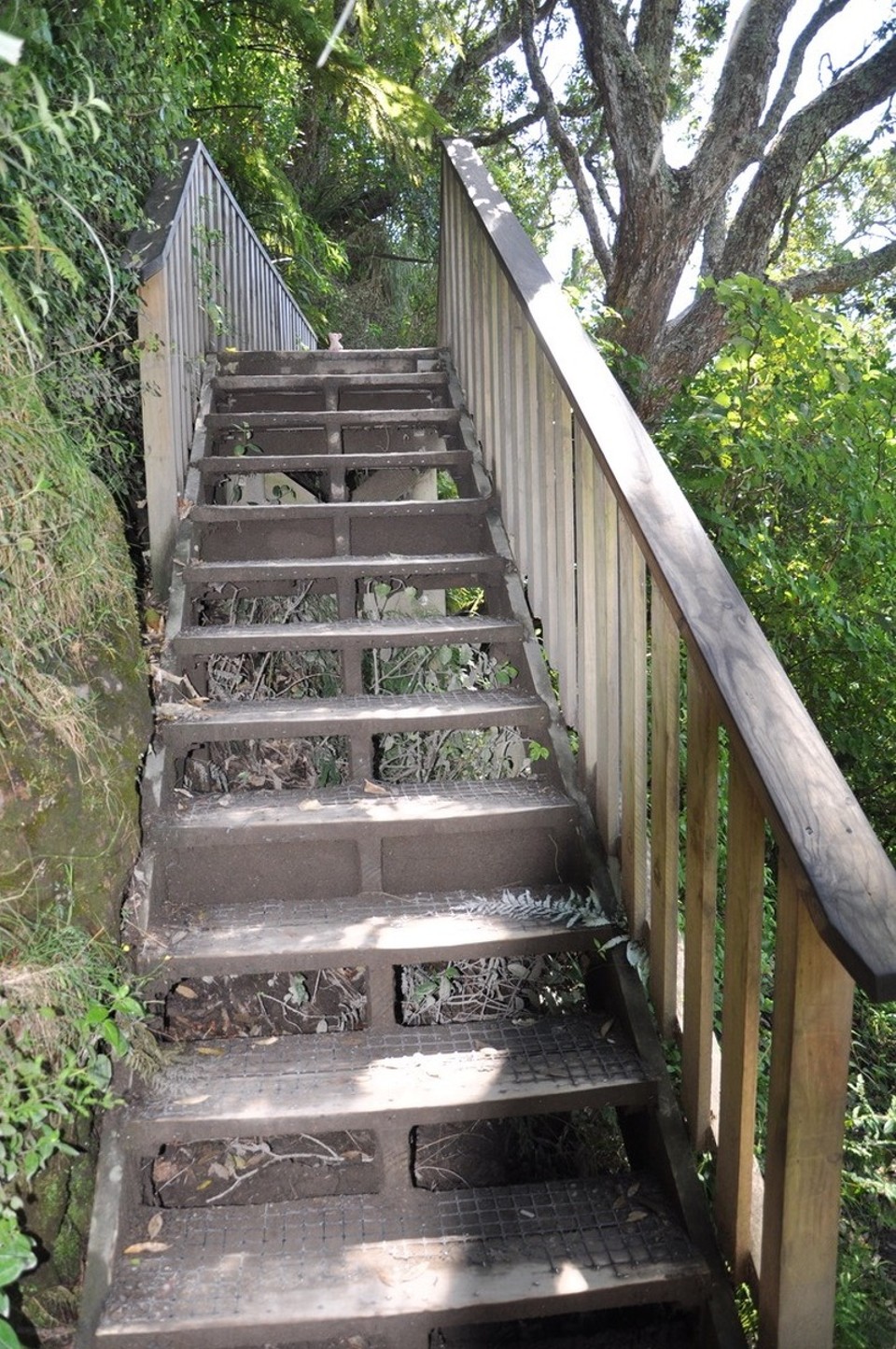 Neuseeland - Papamoa - ...und noch eine Treppe