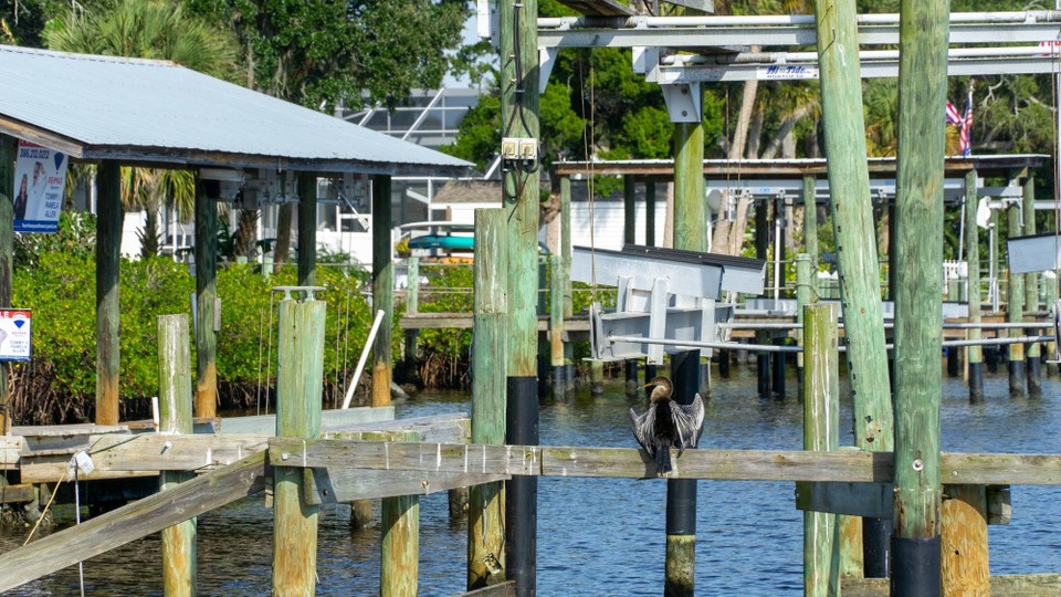 USA - New Smyrna Beach - 