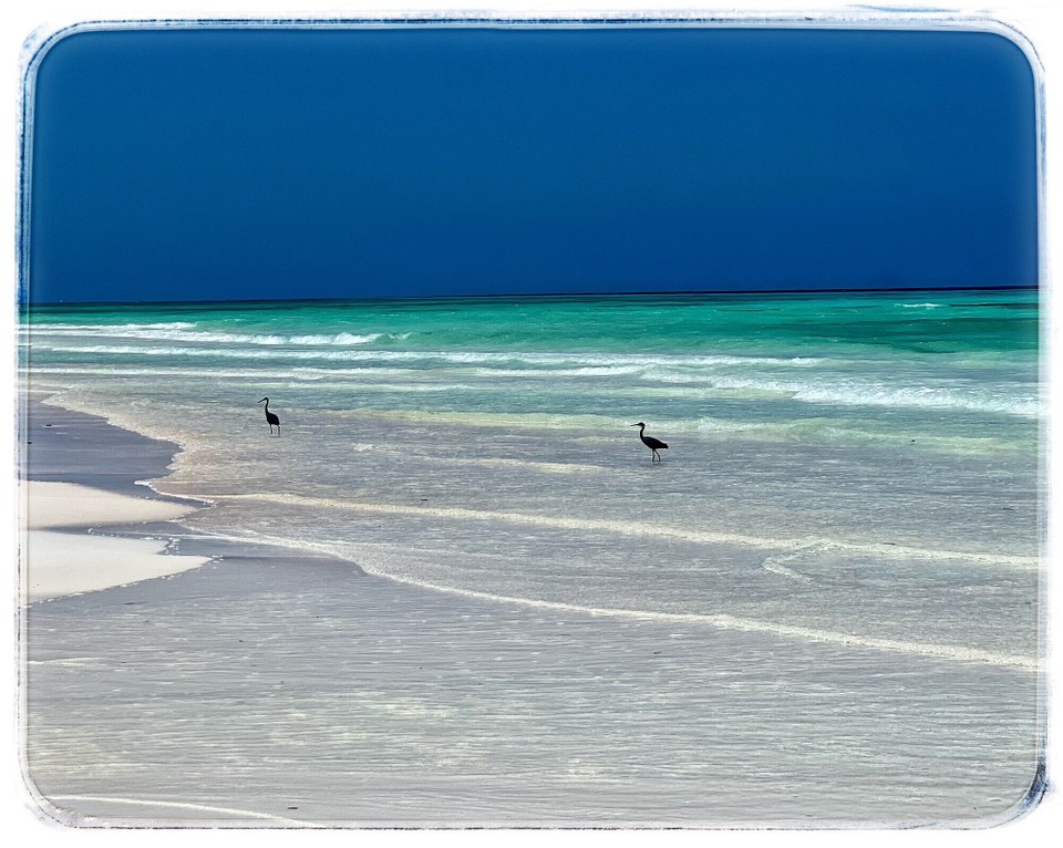 Tansania -  - Strandläufer?!