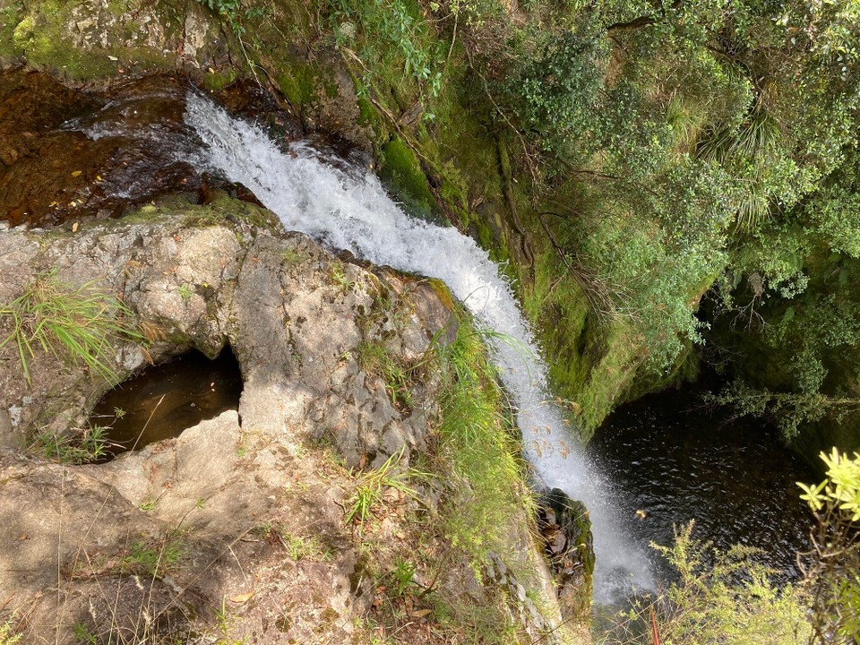 Neuseeland - Coromandel Forest Park - Wentworth Falls