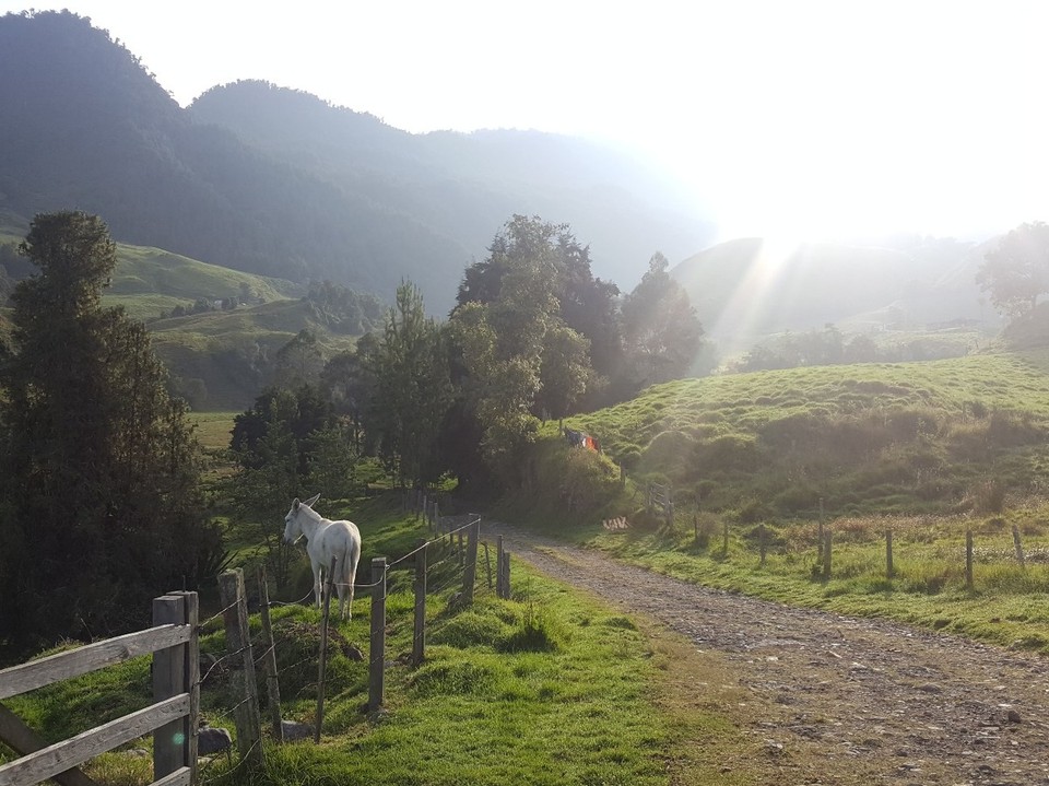 Kolumbien - Manizales - Es ging dann doch schneller als gedacht. Der zweite Jeep musste halt für die ganze Gruppe herhalten. Zwei auf dem Dach, dann geht das schon.