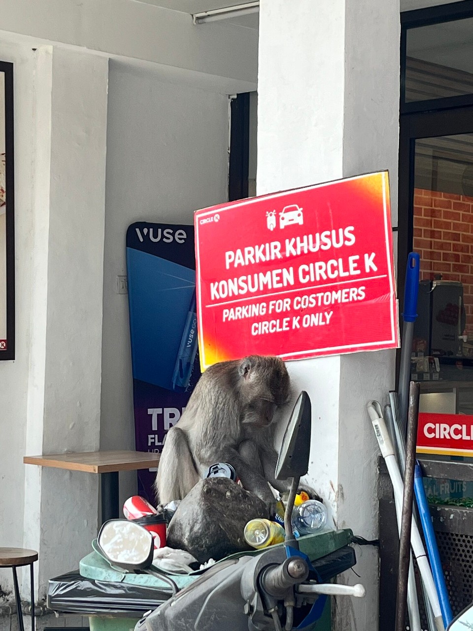 Indonesia - Gianyar - 