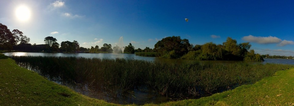 Australia - Sale - Afternoon stroll around Lake Guyatt in Sale. 