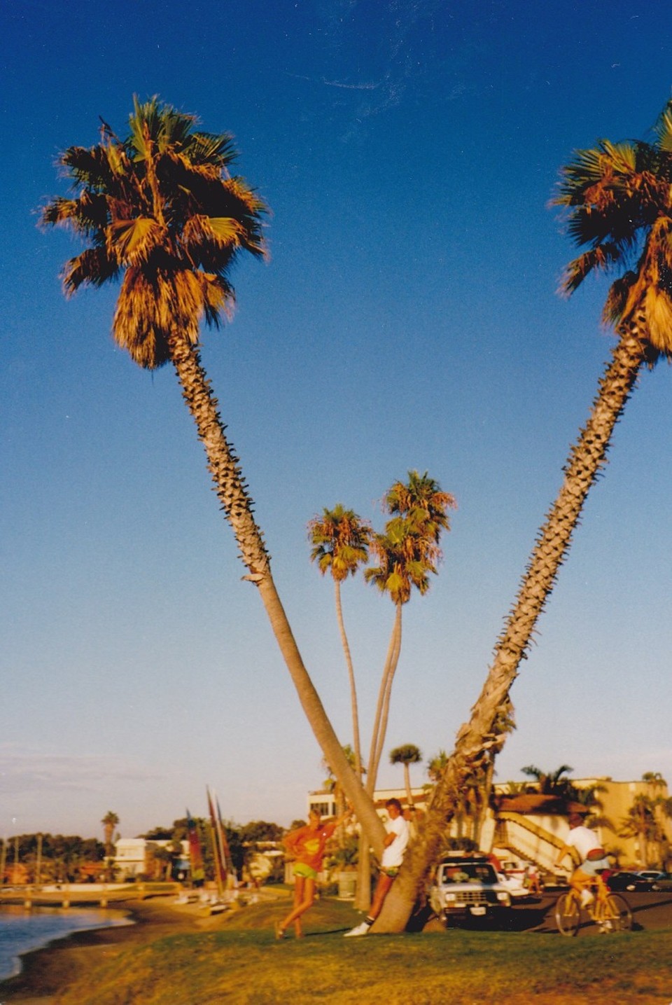 USA - San Diego - Starfoto!